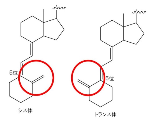 被告標章目録